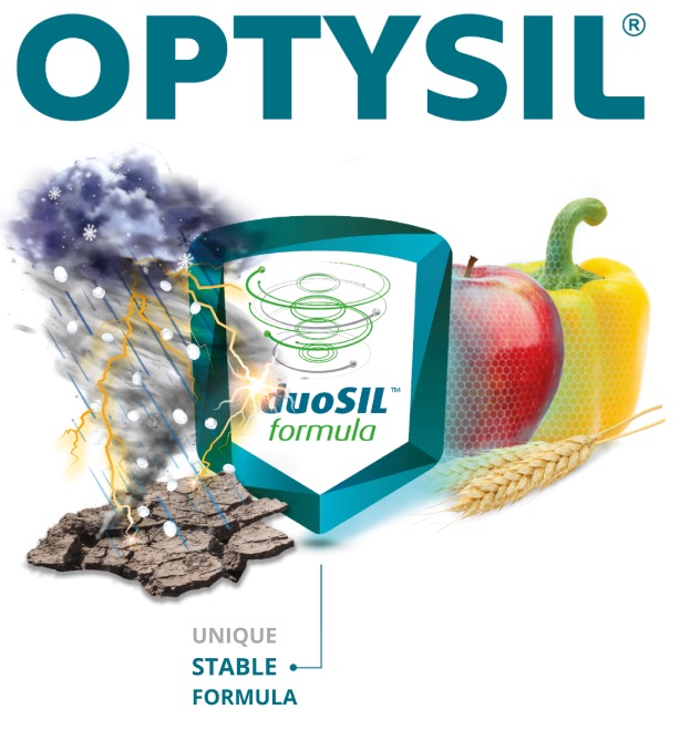 optysil intermag